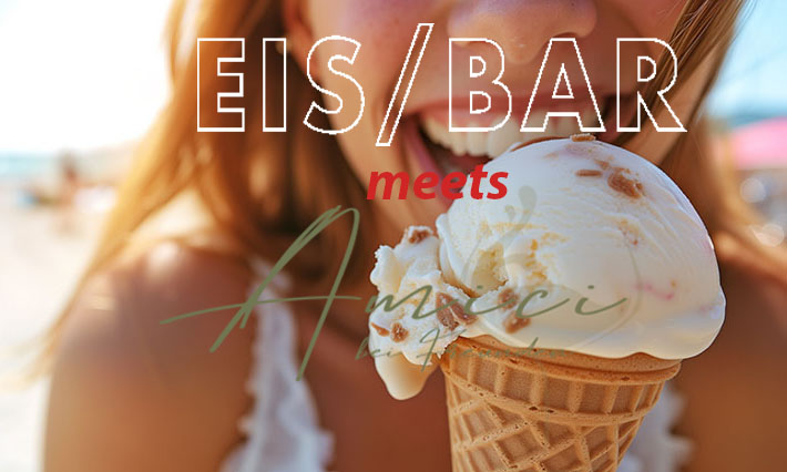EIS/BAR meets Amici